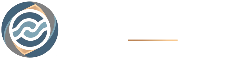 Vault Echo Brief